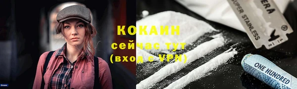 стаф Абинск