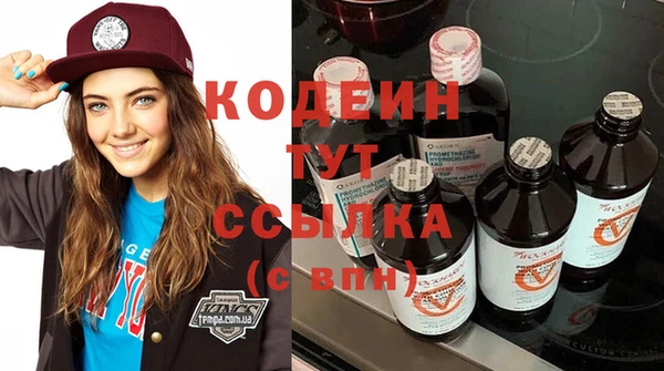 ГАЛЛЮЦИНОГЕННЫЕ ГРИБЫ Семёнов